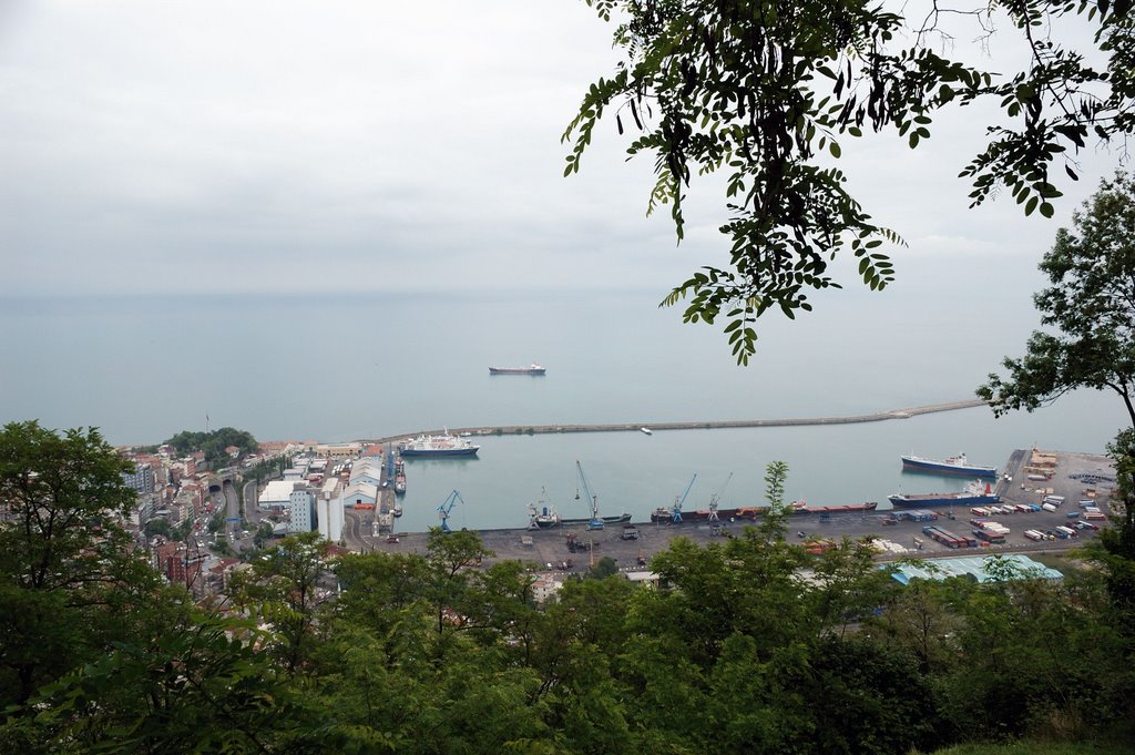 A view of Trabzon from Boztepe, Trabzon, Turkey by Seref Halicioglu