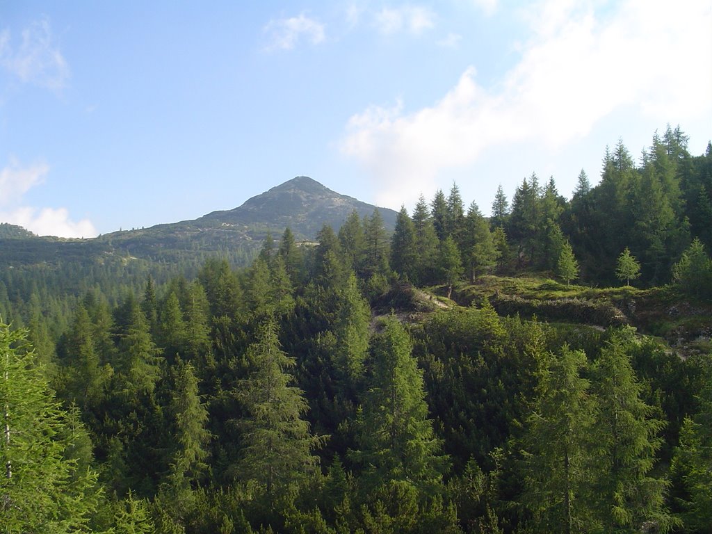 Cima Caldiera da monte Lozze by © daks70