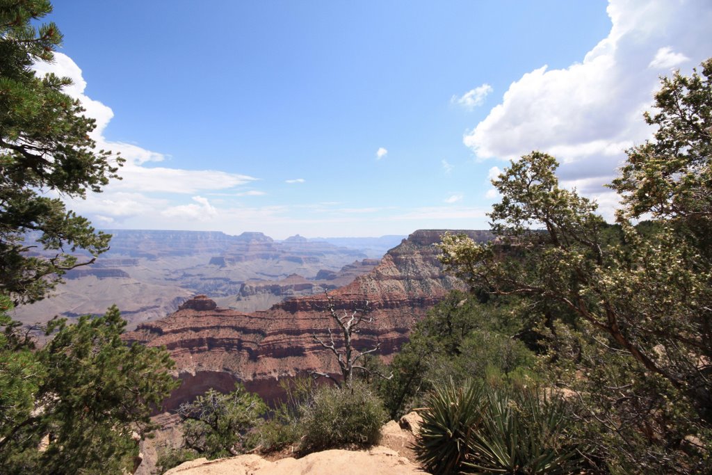 Grand Canyon (Agosto 2008) by GiamesPhoto (Giacomo…