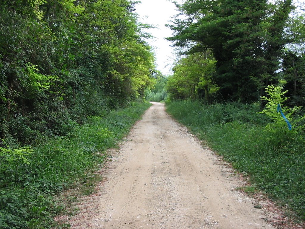 Arielli-Fondo Valle Venna by duca1degli1abruzzi