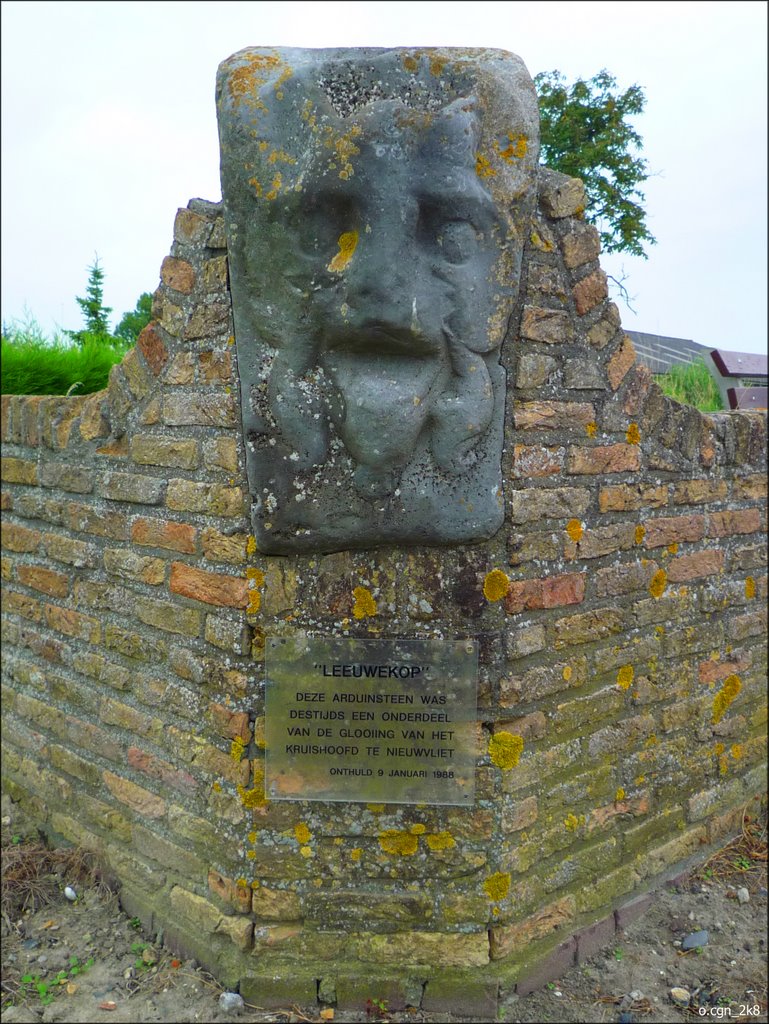 Leuven van Nieuwvliet, Sint Bavodijk, Nederlande 2008 by © o.pur c.