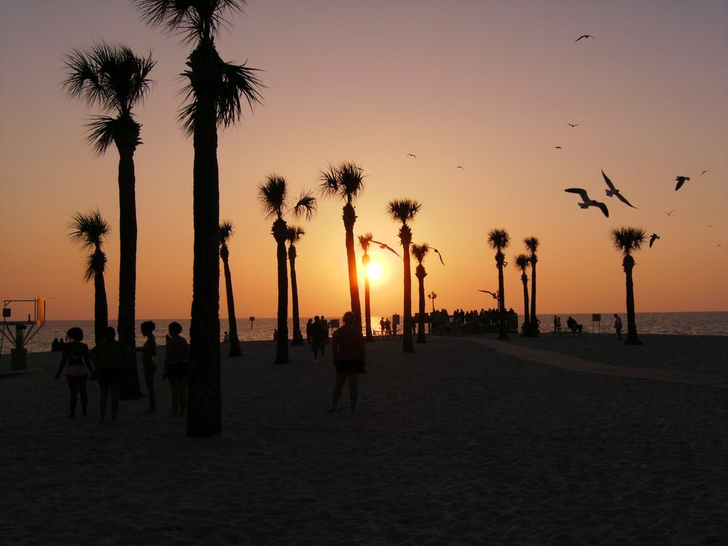 Pine Island @ Sunset by Geoff L***