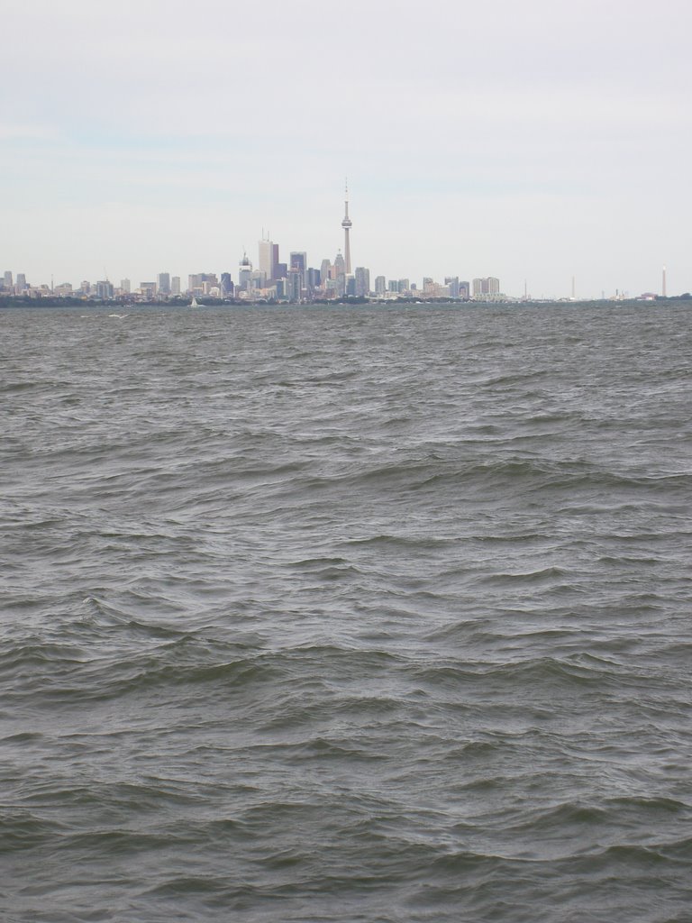 Downtown Skyline, Toronto by Tyler D'Angelo