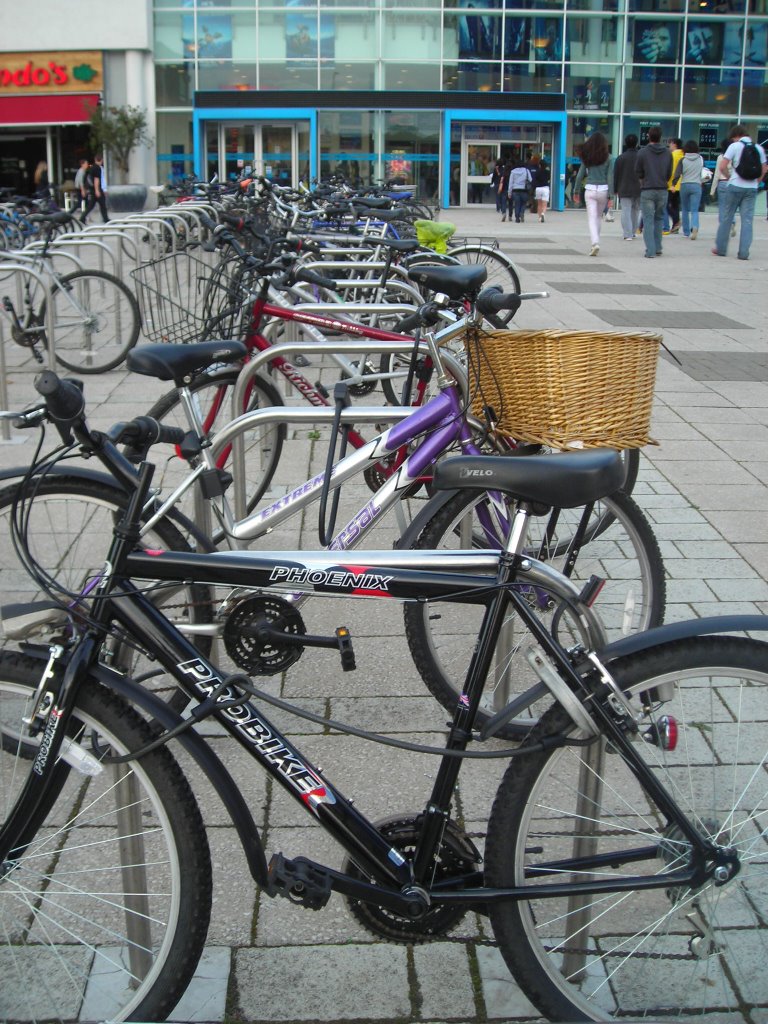 Parking of bikes, Cambridge, UK. by Blackbird15