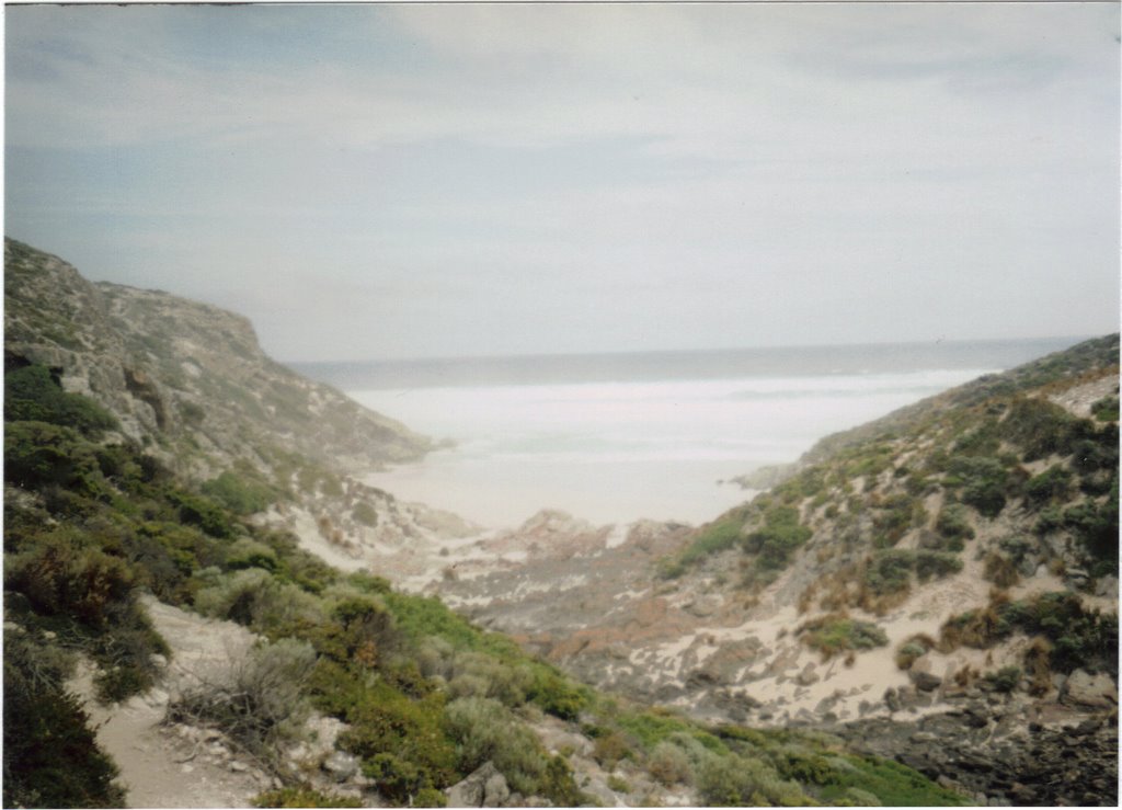 Mouth of Rocky River-Flinders Chase NP by eliot_garvin