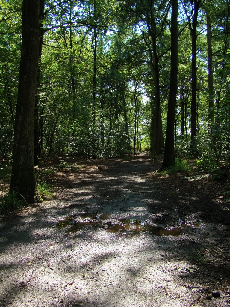 Het Goor, Mierlo-Hout (Helmond) by uaf