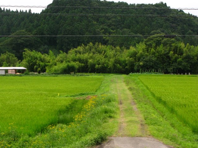 東陽中学校正門からの眺望 by Mashiko Akihiro