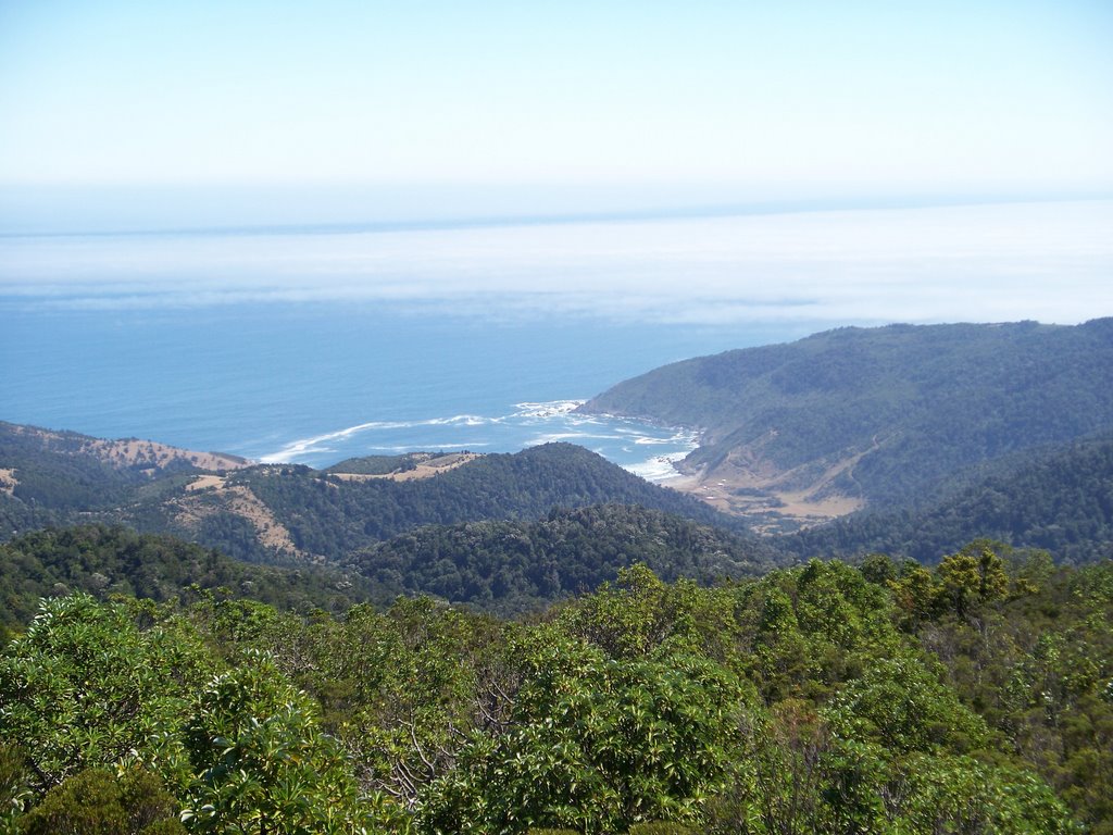 Playa Pilolcura, Parque Oncol, Mirador Pilolcura by Alvaro Veloso