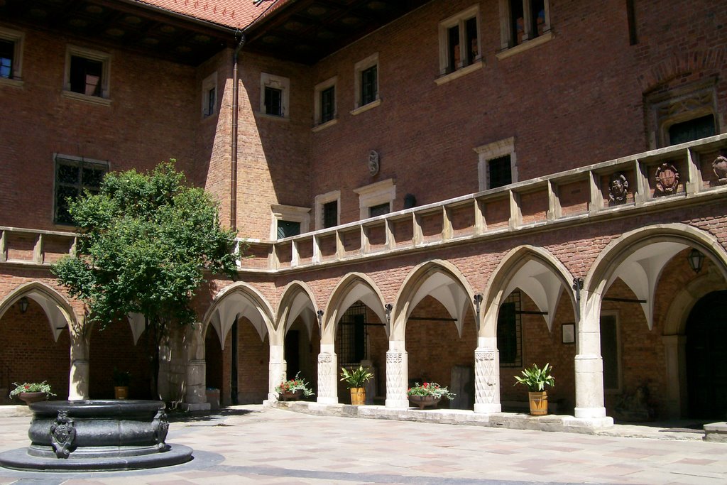 Collegium Maius by Leskra