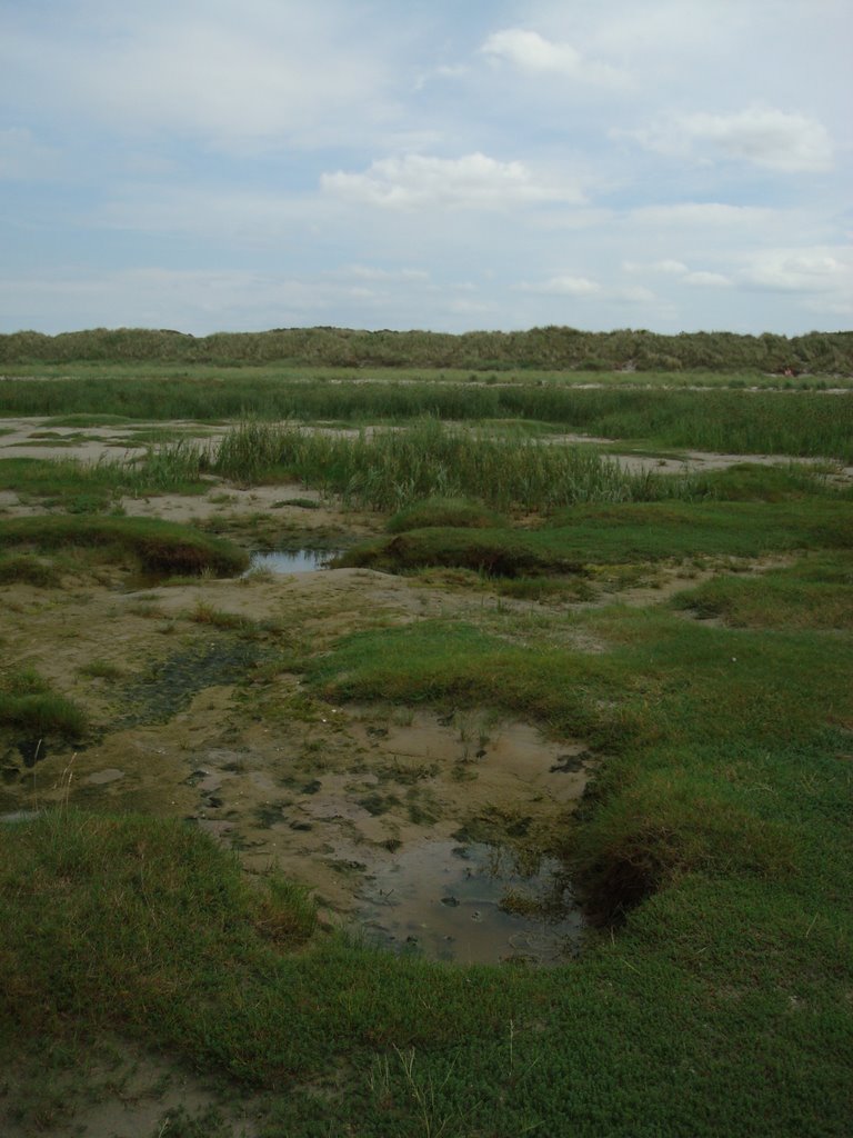 Stranddünen by loooquito