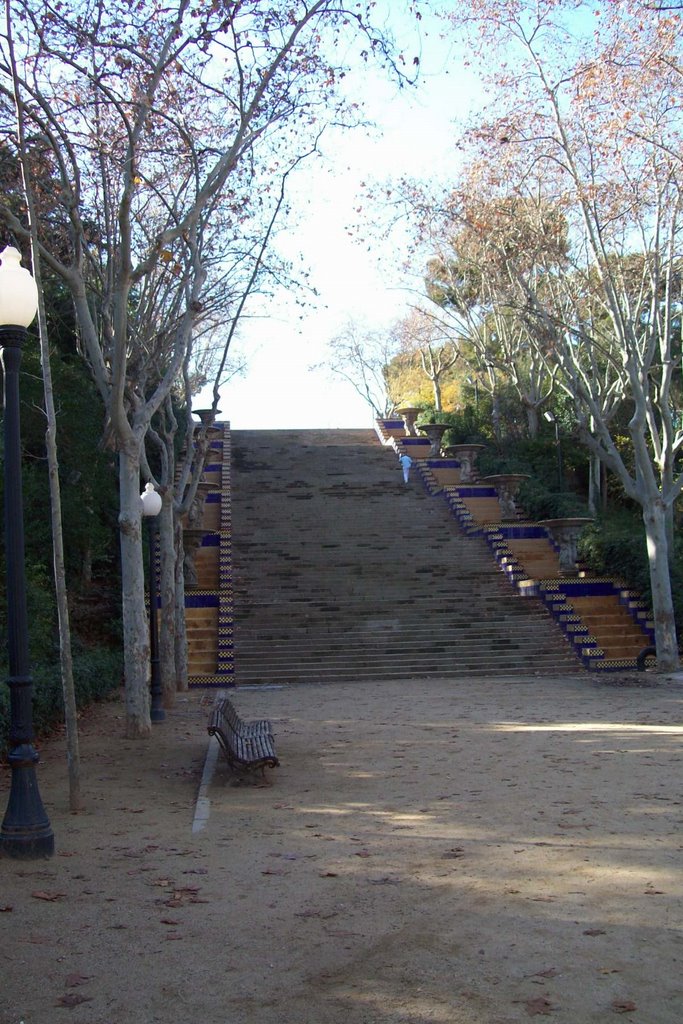 Escaleras alternas al Museo by Daniel Martínez Dumi…