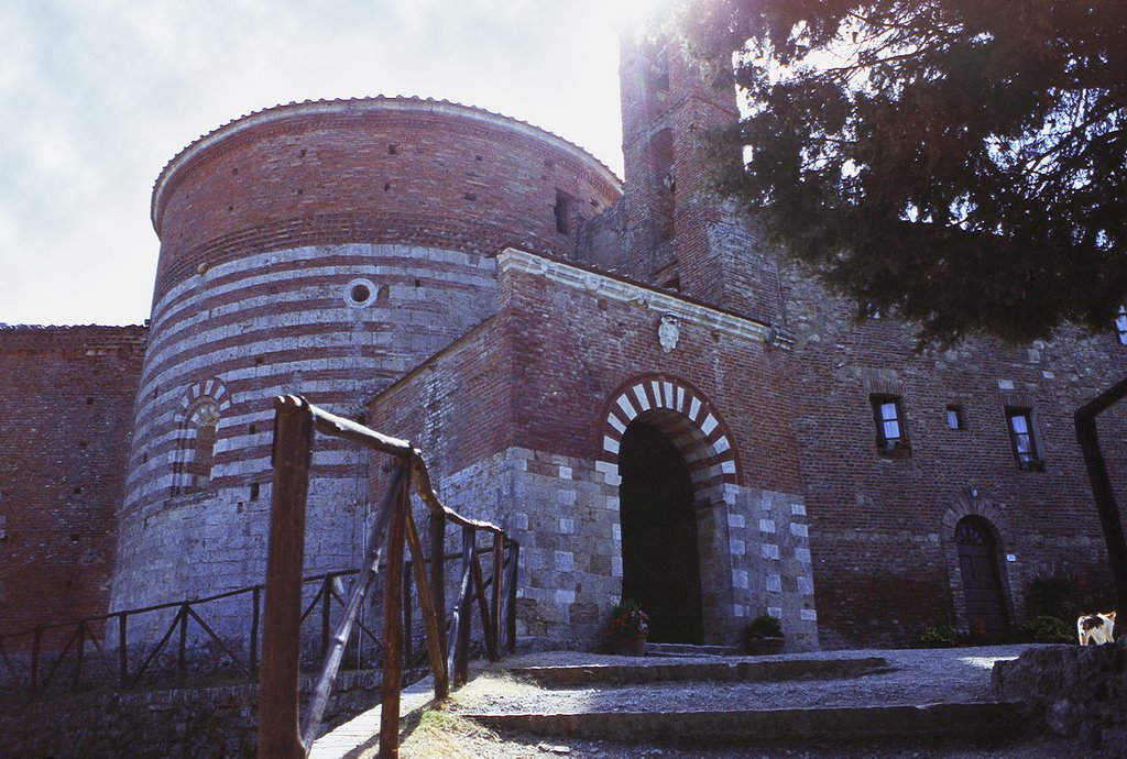 San Galgano, Eremo di Montesiepi con gatta, Siena, Abbazia, august 1998 by Marco Ferrari