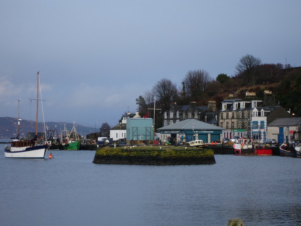 Tarbert, Argyll by loobi2shoes