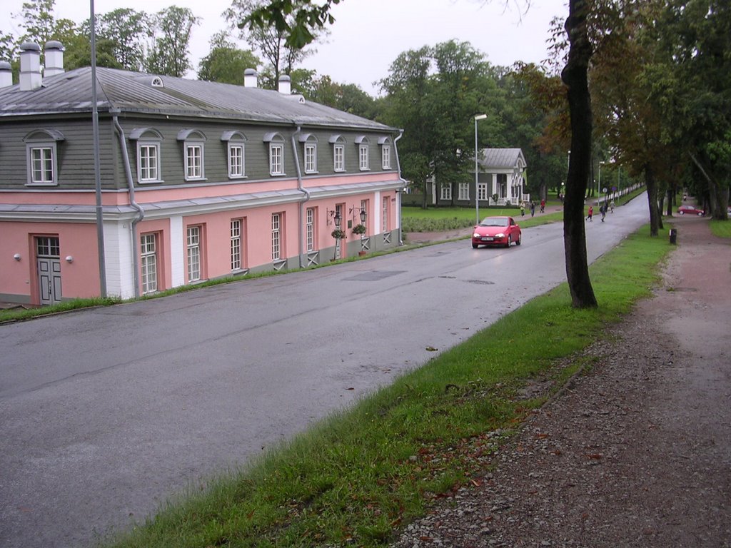 Kadriorg, the Mikkel Museum by Aulo Aasmaa