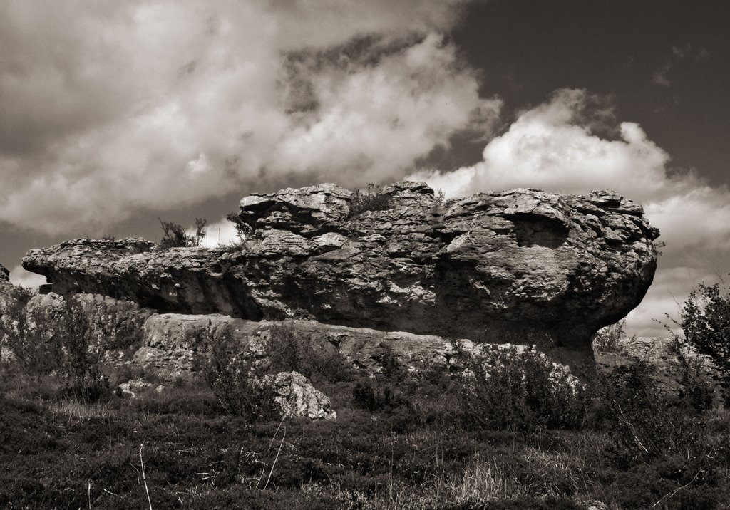 Las tuerces Palencia by julianredodo