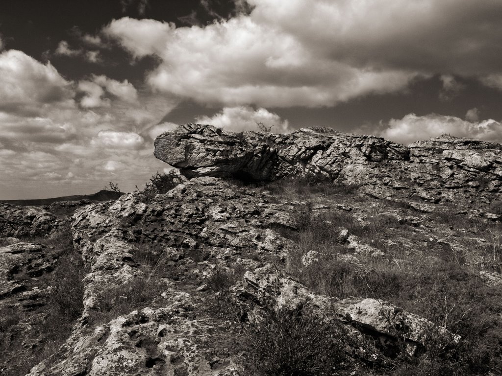 Las tuerces Palencia by julianredodo