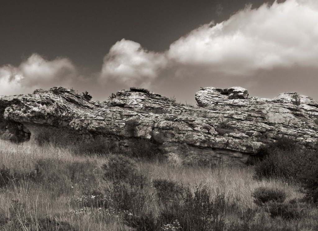 Las tuerces Palencia by julianredodo