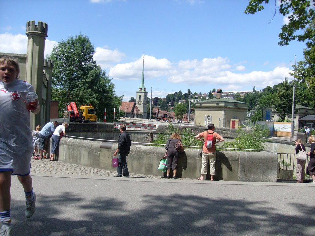 View of bear pit from seat by WallaceBeth