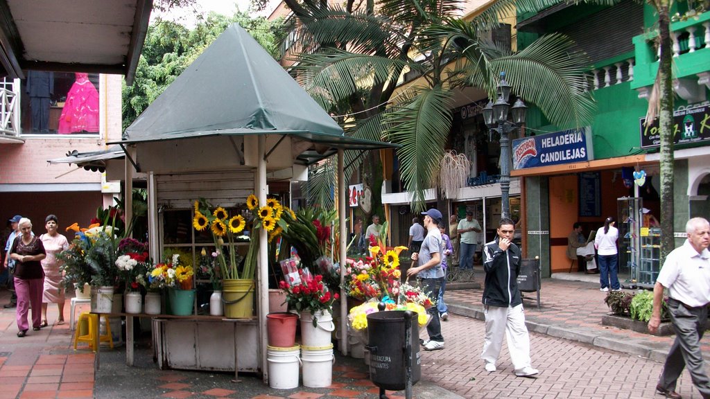 VENTA DE FLORES EN EL PASAJE JUNIN by HERNANDO  MARTINEZ A…