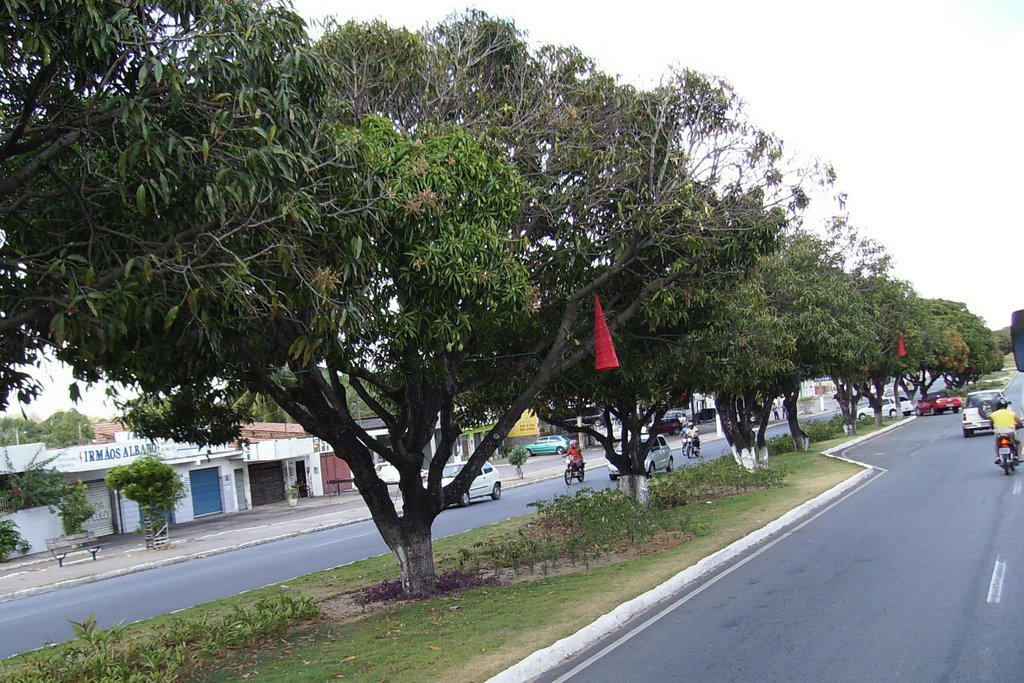 AV. ITAPETINGA by Gilvan Medeiros