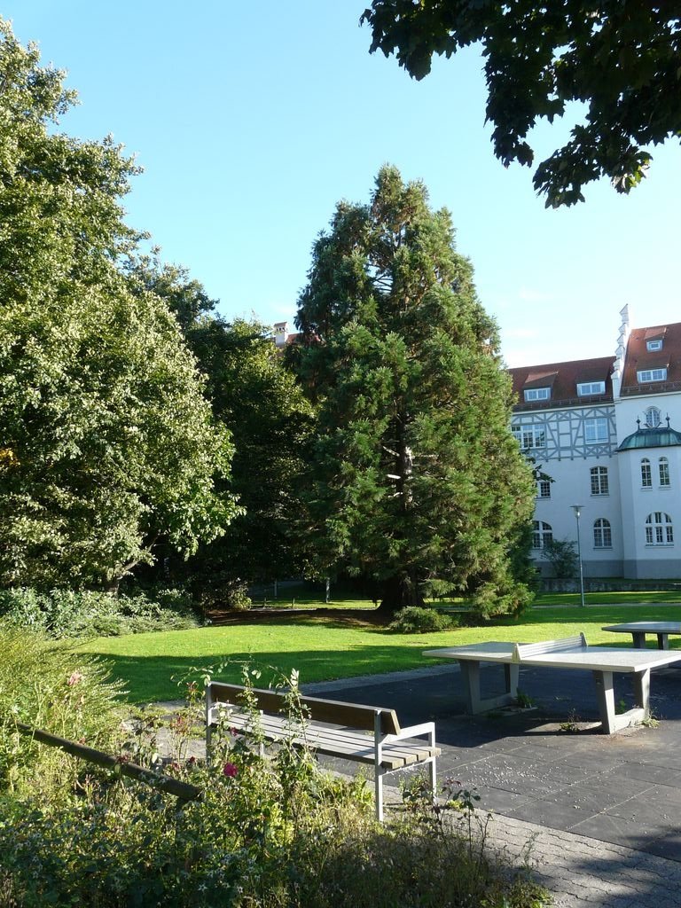 Lindau/Bodensee, Uferweg by Walter Stuber