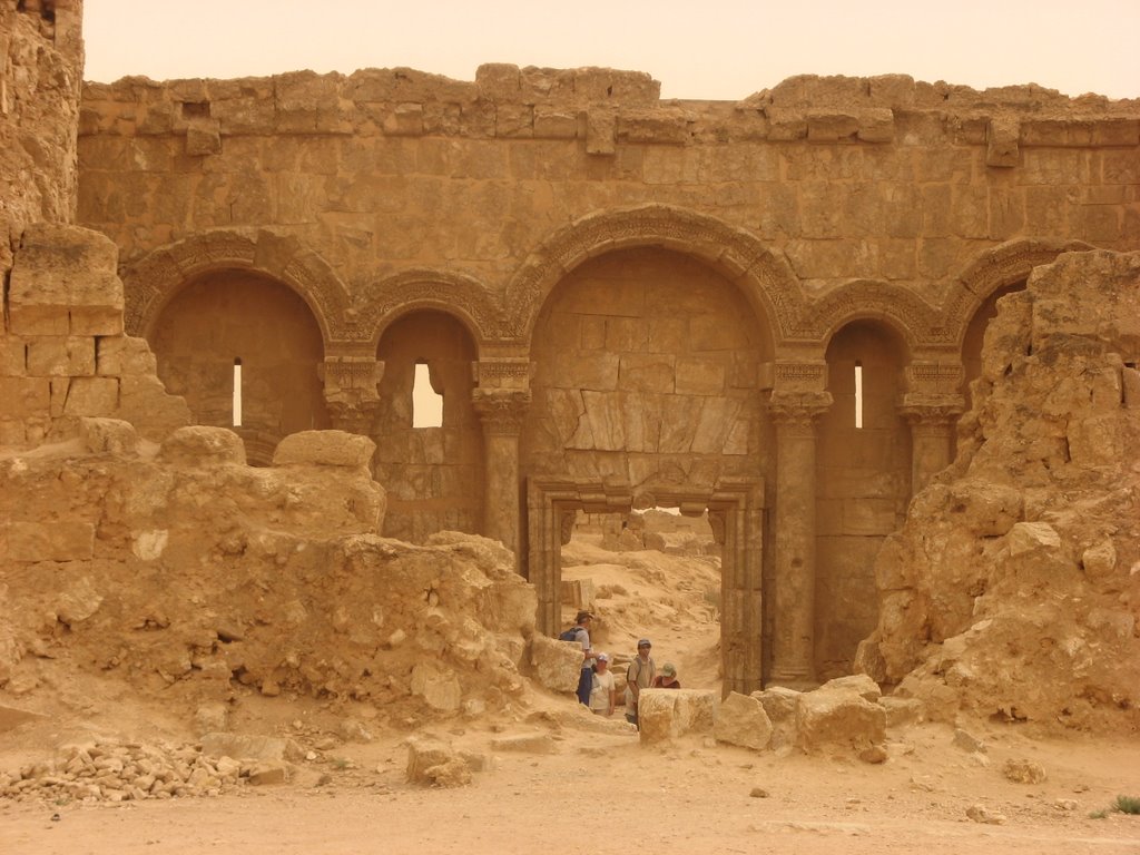 Entrada Norte de Sergiopolis (Rusafa) by carlosmaria