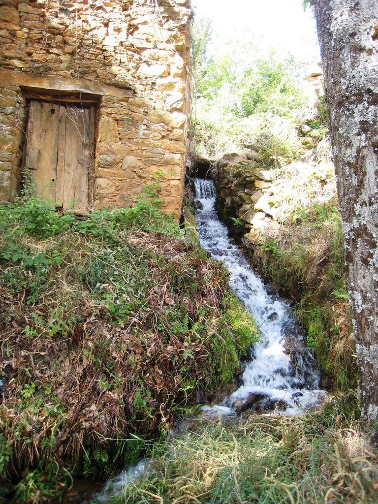 Arroyo en Villar del Monte by samaro