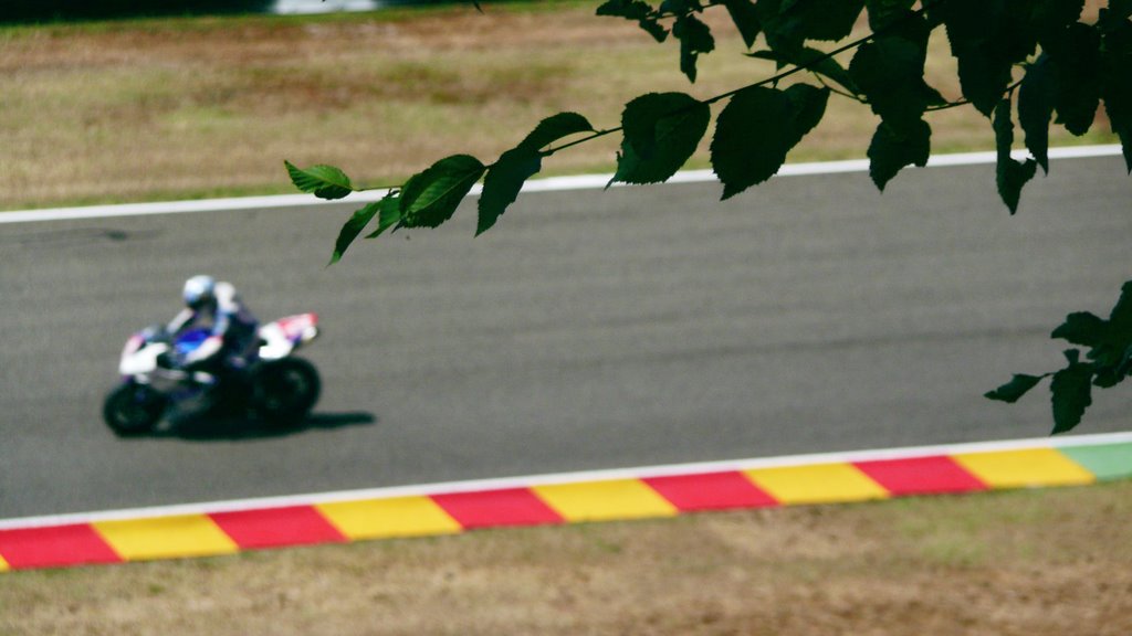 Durante una gara_Circuito del Mugello by LuPhotography