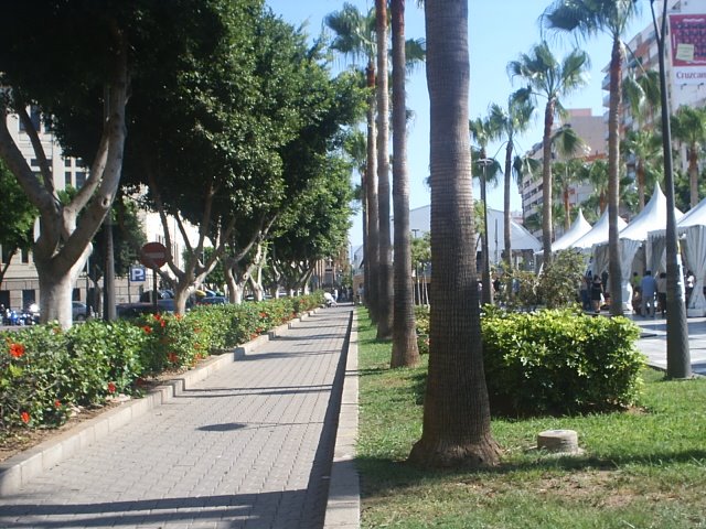 Vista rambla by manuel ruiz