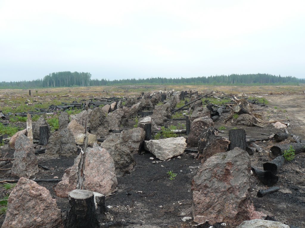 Vyborgsky District, Leningrad Oblast, Russia by Boiko