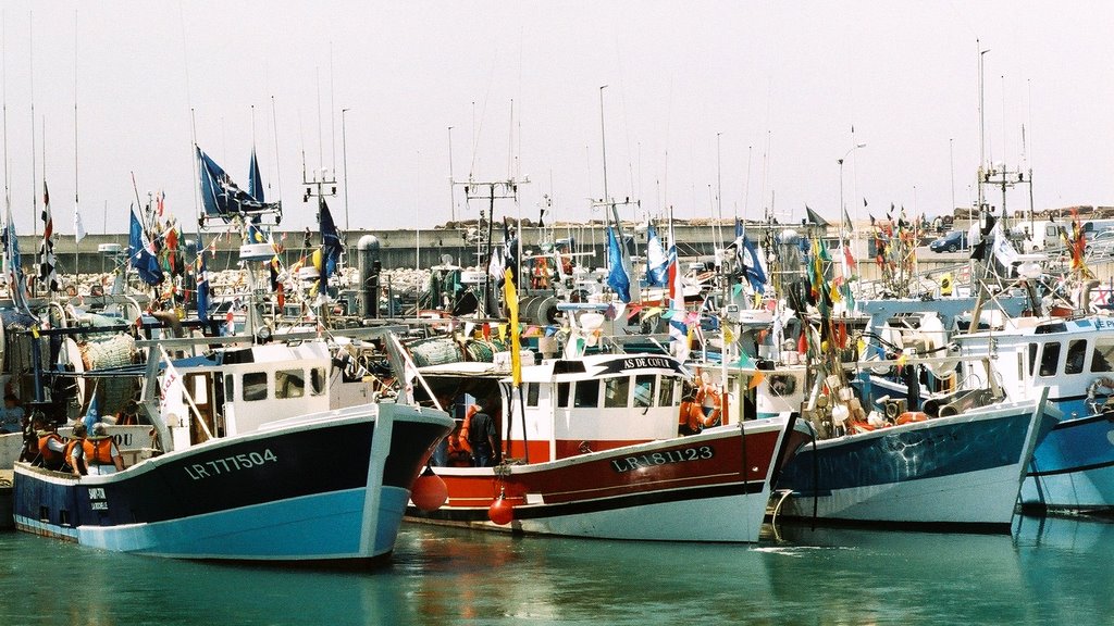 La Rochelle Port de pêche by Guillaume Delorme