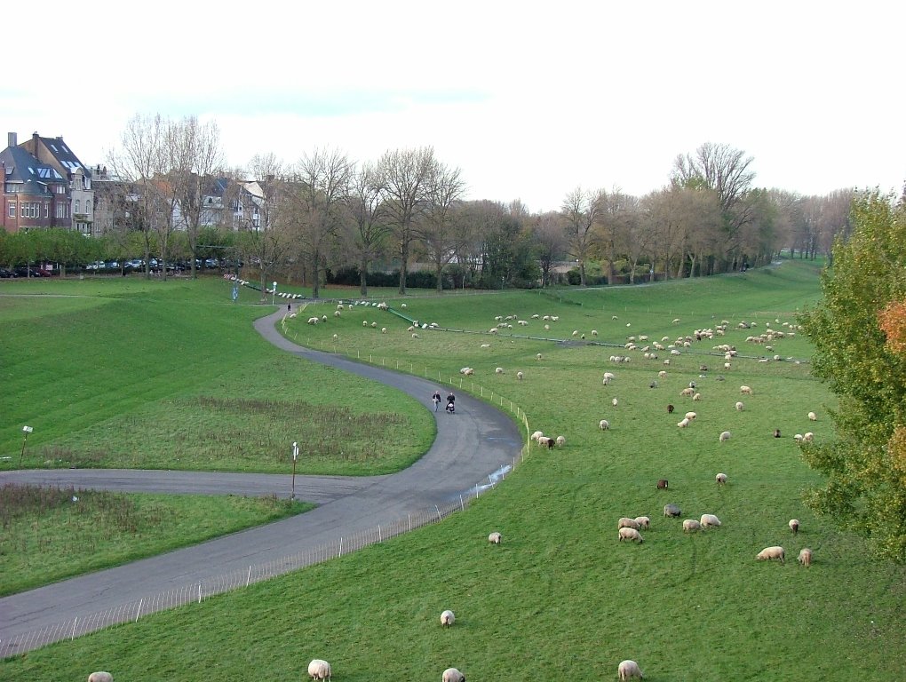 Düsseldorf-Niederkassel, Düsseldorf, Germany by M Awni Abdallah