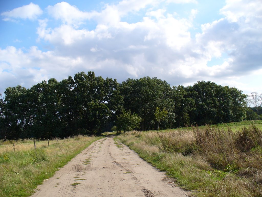 Blick vom Spannkamp Richtung Wald by Stöhrminator