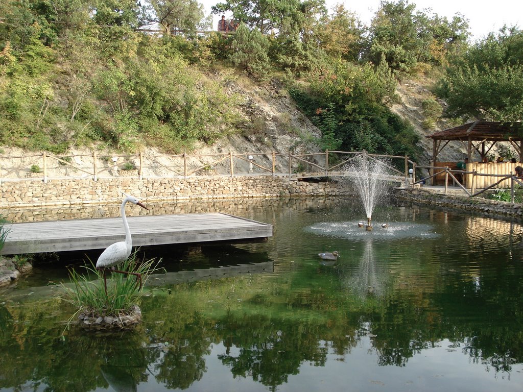 Kabardinka. Trout farm by Irina Stenina