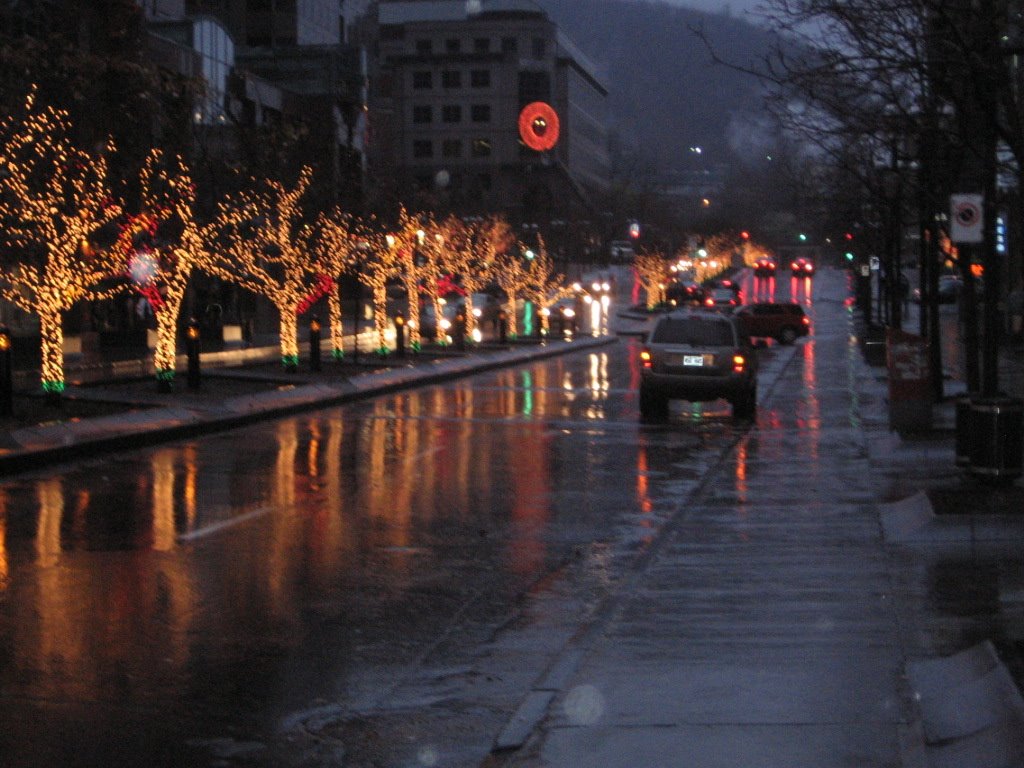 Somewhere along avenue mcgill college by Favourite Fallen Ido…