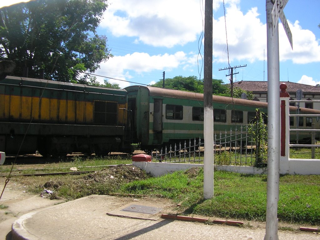 Locomotora del Tren en Moron by orlyohan