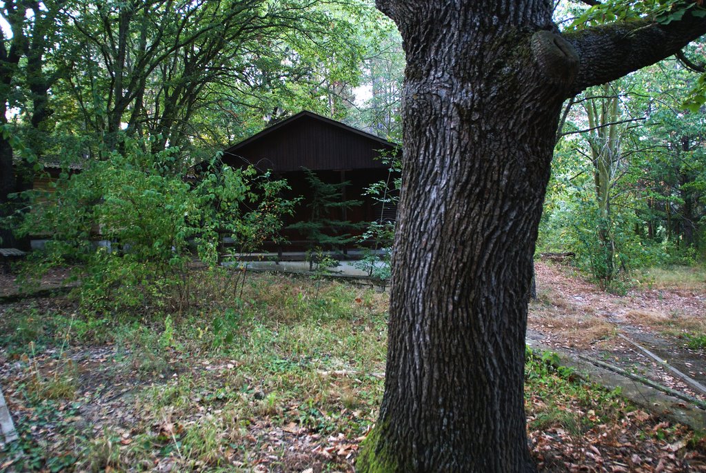 Avren, Bulgaria by zandor