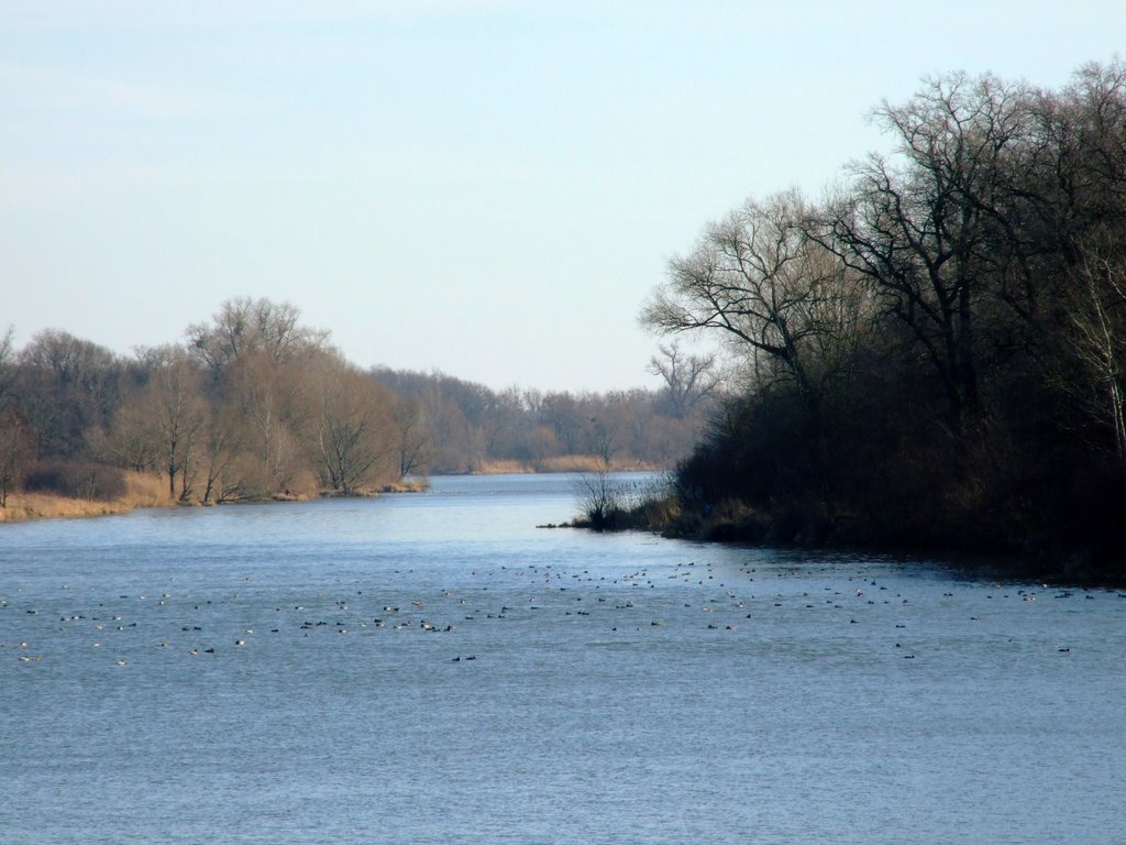 Odra z mostu Bartoszowickiego by pblogos