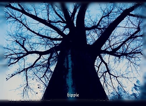 后海初冬 by hippie