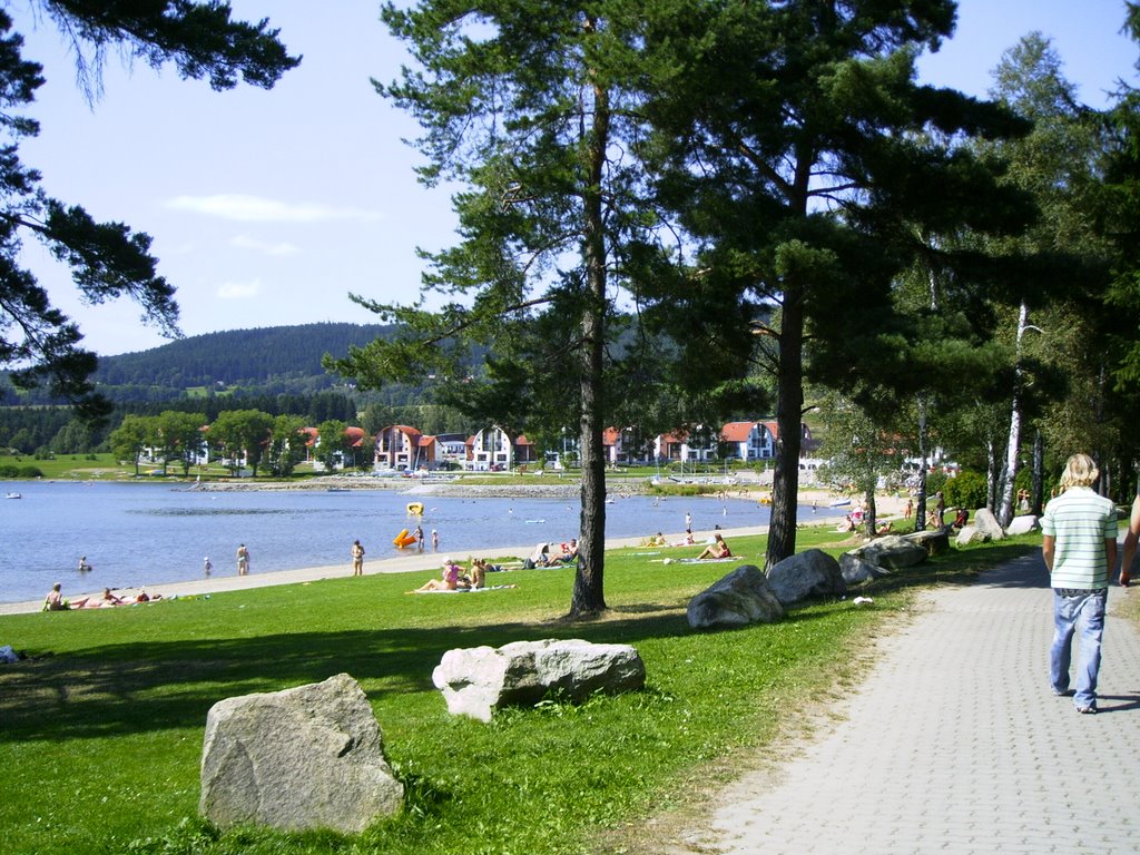 Pohled na marina lipno by limesor