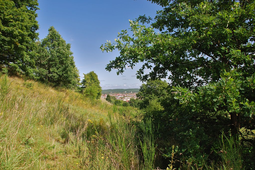 View from Mrkowcowa hill by Anthony Skotia