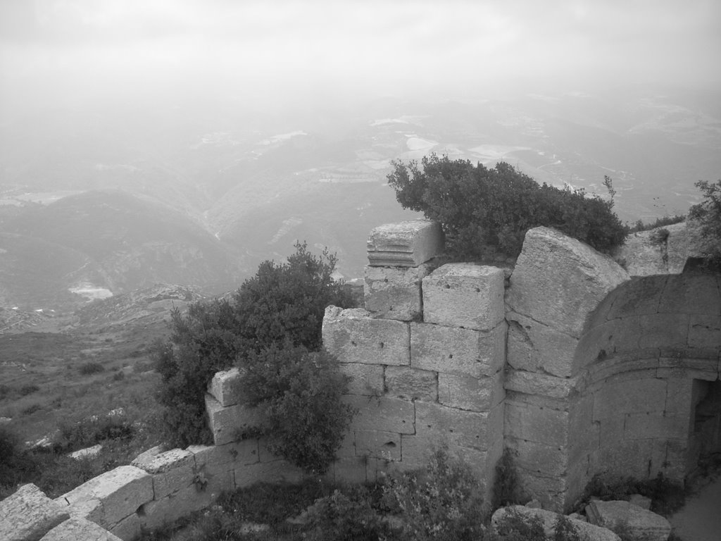 Yeşilyazı/Samandağ/Hatay, Turkey by libbathegreat