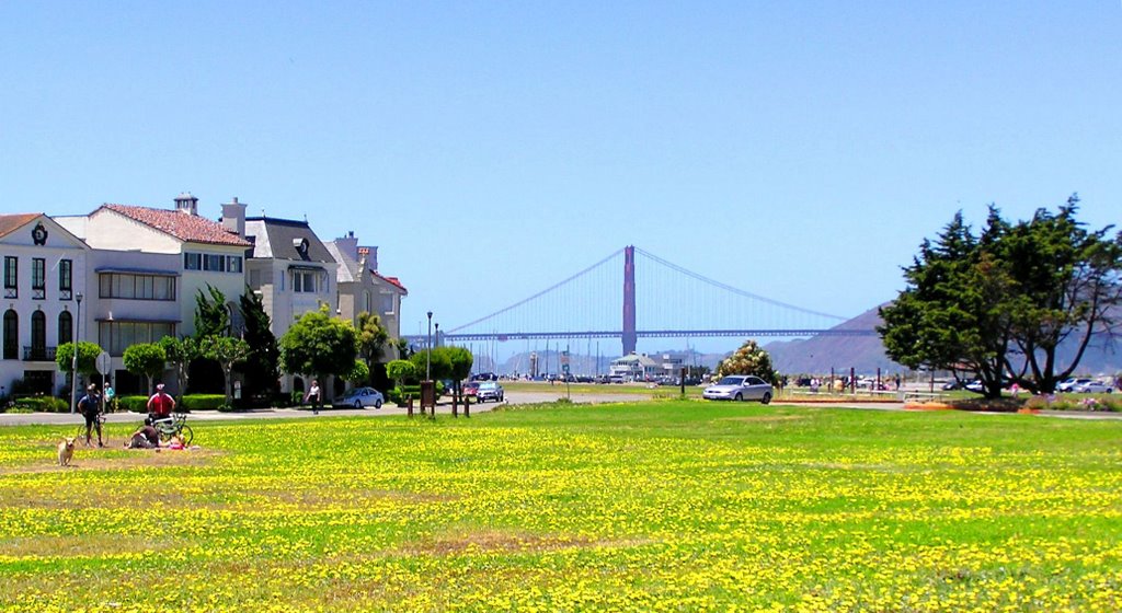 Golden Gate Bridge & Dandelion 🌸 たんぽぽが　春の絵巻を　黄で染める　(池貞彦) 🌸しはあせに 短かたんぽぽ 昼になる (細見綾子) by Yoshio Kohara