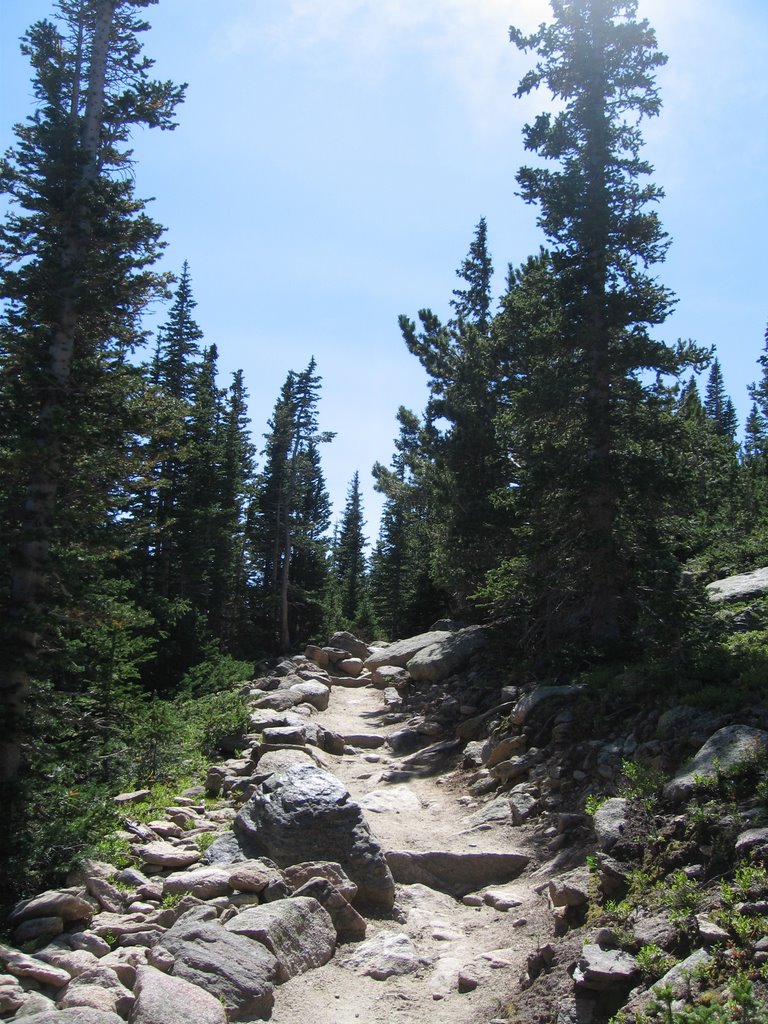 East Longs Peak Trail by brent.ertz