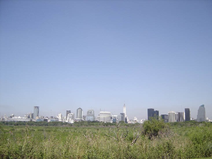 Buenos Aires Skyline from Costanera Sur by madcap77