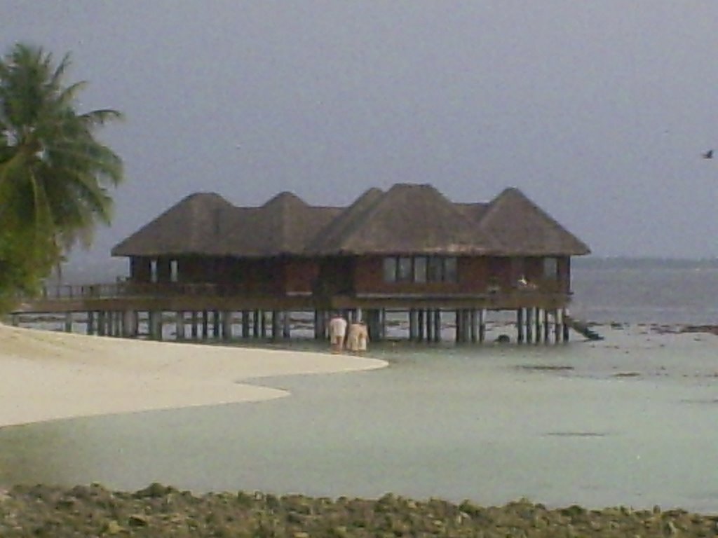 The water Bungalows by midweekbeatle