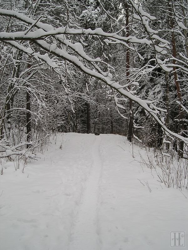 A walkpath by HenriL