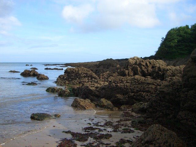 Myrtleville, Co. Cork by Mat Nichol