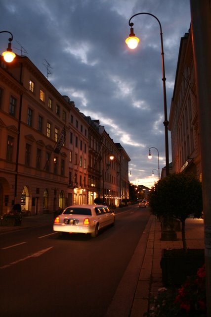 München 2008 - Brienner Straßer by piesepank