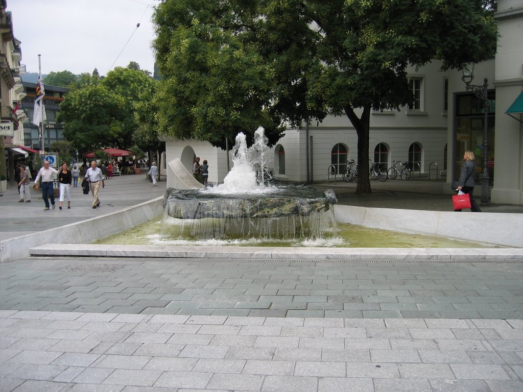 Brunnen am Leopoldsplatz / Wells on Leopoldsplatz by Ralf Steib